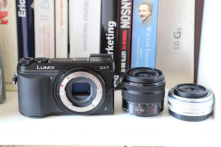 Panasonic DMC-GX7 (2).JPG